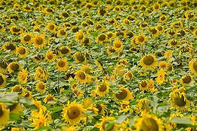 《卧龙：苍天陨落》公开奇术截图 主角召雷轰女妖